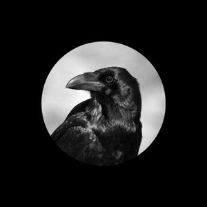 和大鸡巴美国大鸡巴黄色三级片黄色片
